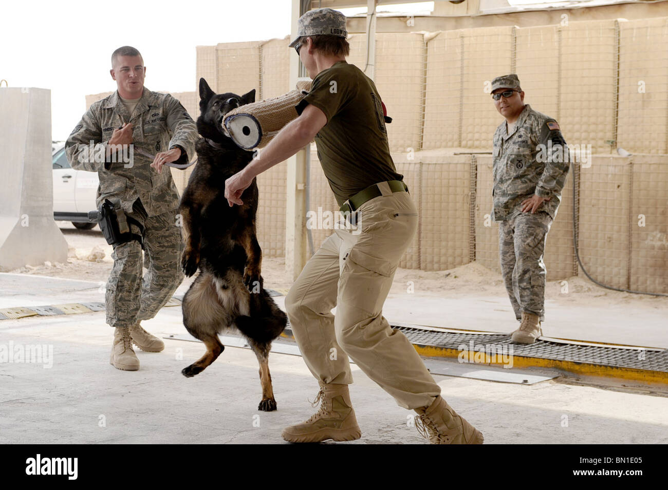 Sergeant Hines ist ein 379th Expeditionary Sicherheit Kräfte Squadron militärischer Arbeitshund Handler. Ajax ist eine 379 ESFS militärische Schweißbänder Stockfoto