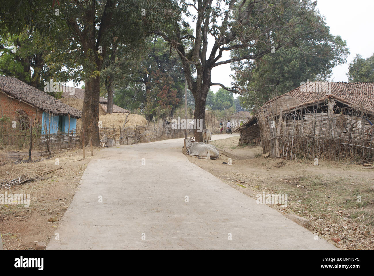 Eine Straße durch Magarkatta Dorf, Madhya Pradesh Stockfoto