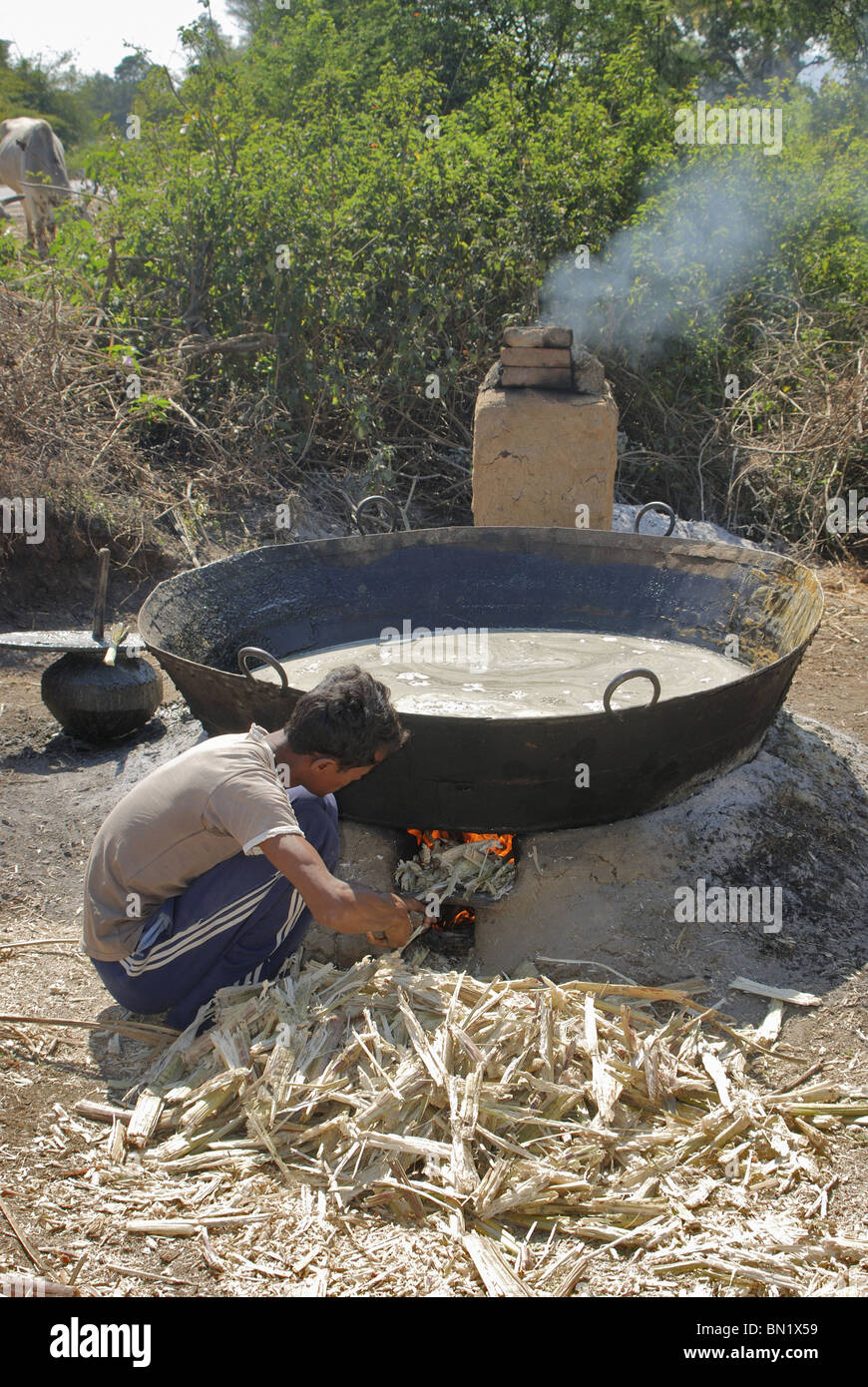 Jaggery, aus Canejuice in Madhya Pradesh Stockfoto