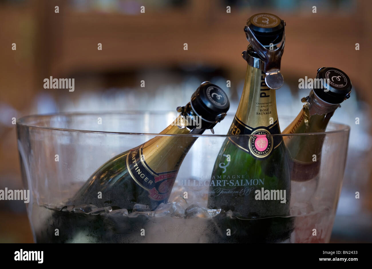 Champagner-Flaschen in einen Eimer Stockfoto