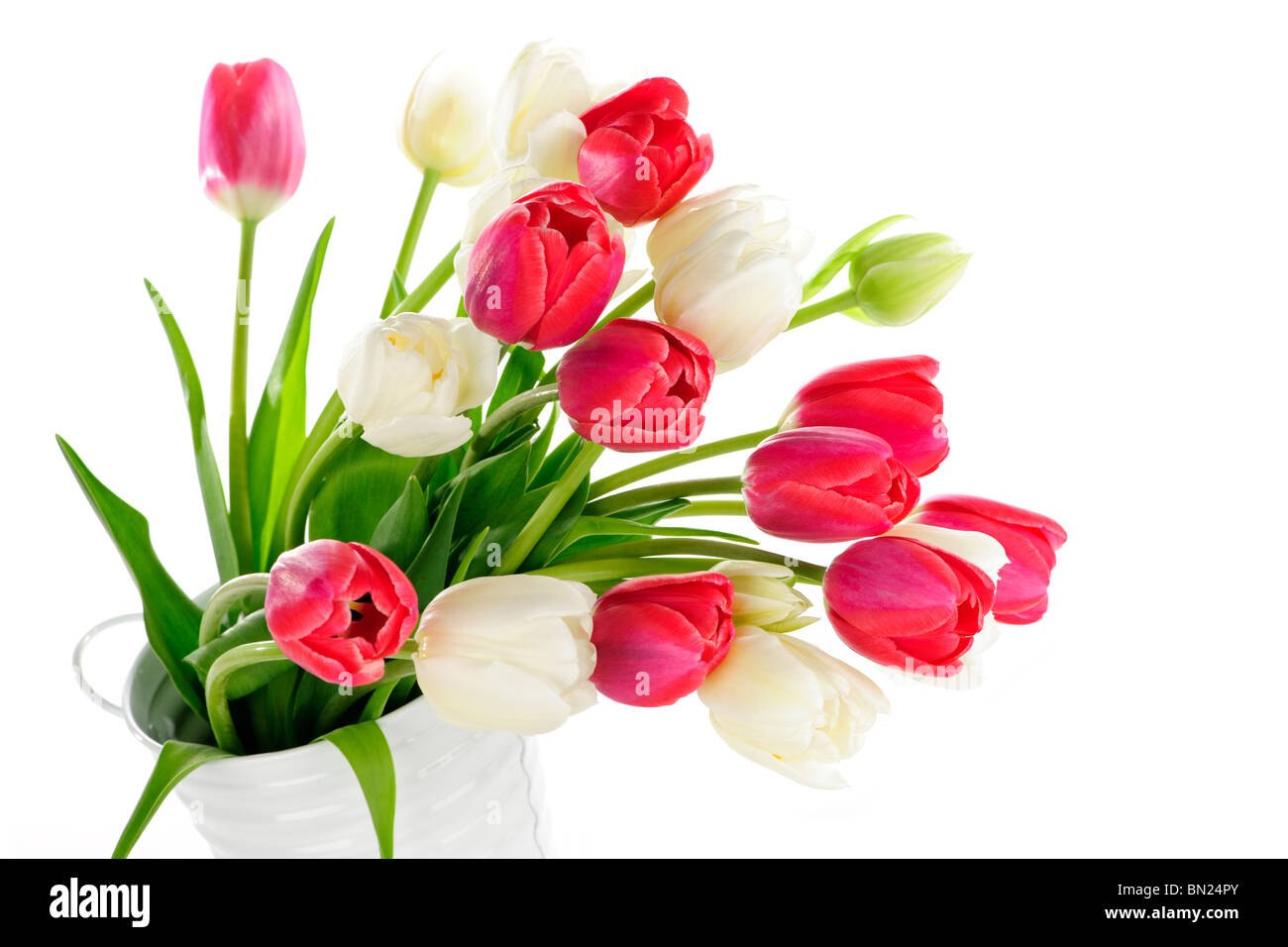 Bouquet von roten und weißen Tulpen in Blecheimer Stockfoto