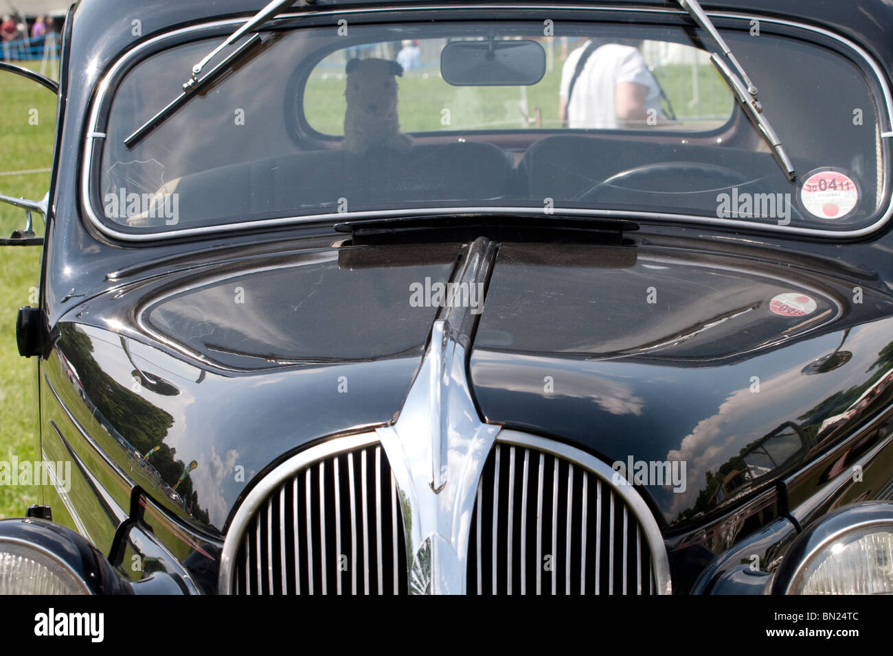 Ein 1939 Plymouth Auto mit uns weißen Stern Stockfoto
