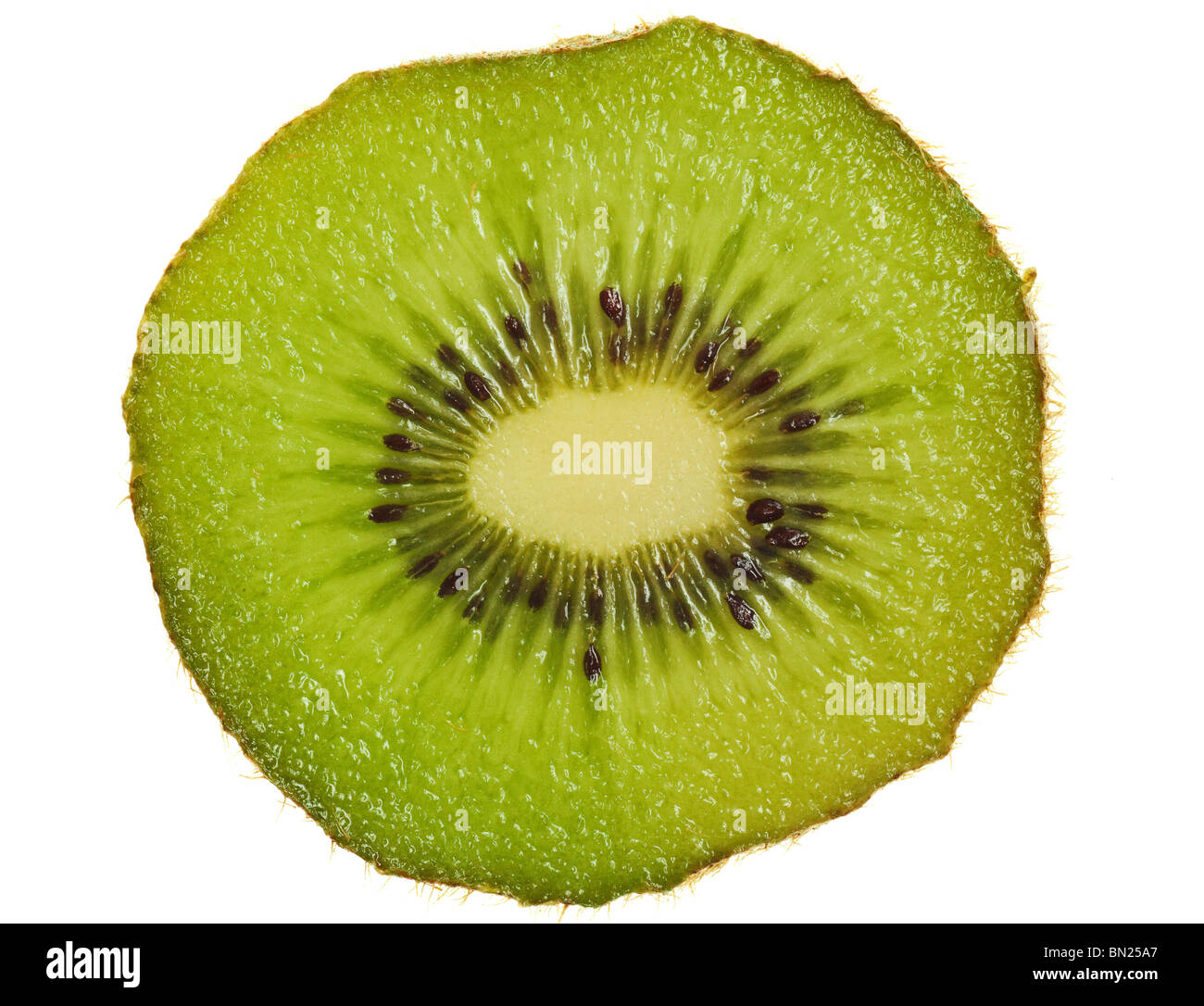 Kiwi auf einer rein weißen Hintergrund isoliert Stockfoto