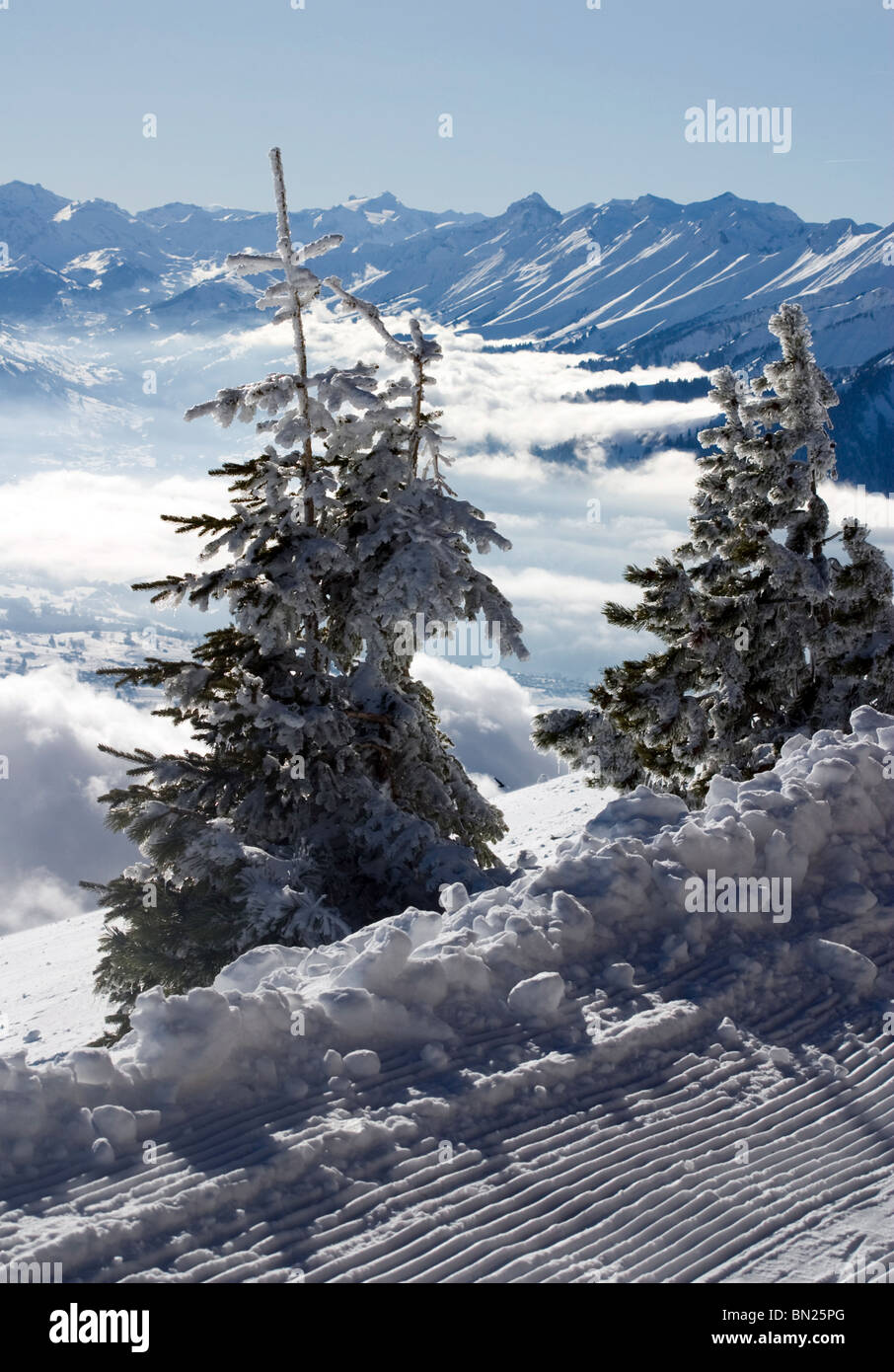 Alpenblick vom Niederhorn-Berner Oberland Schweiz in Schweizer Alpen Stockfoto