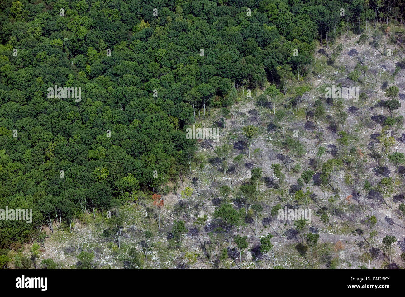 Luftaufnahme über dem zentralen Pennsylvania Kahlschlag Stockfoto