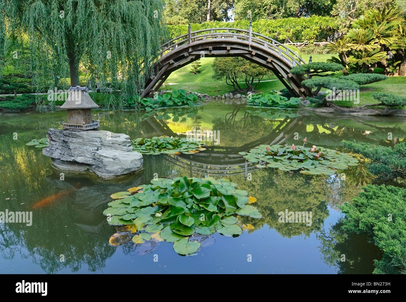 Japanischer Garten mit MondBrücke und LotusTeich mit KoiKarpfen