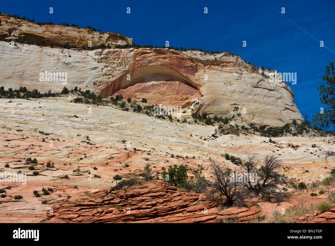 Blinden Bogen geschnitten in einer Slick Rock Formation nahe dem Osteingang zum Zion Nationalpark, Utah Stockfoto