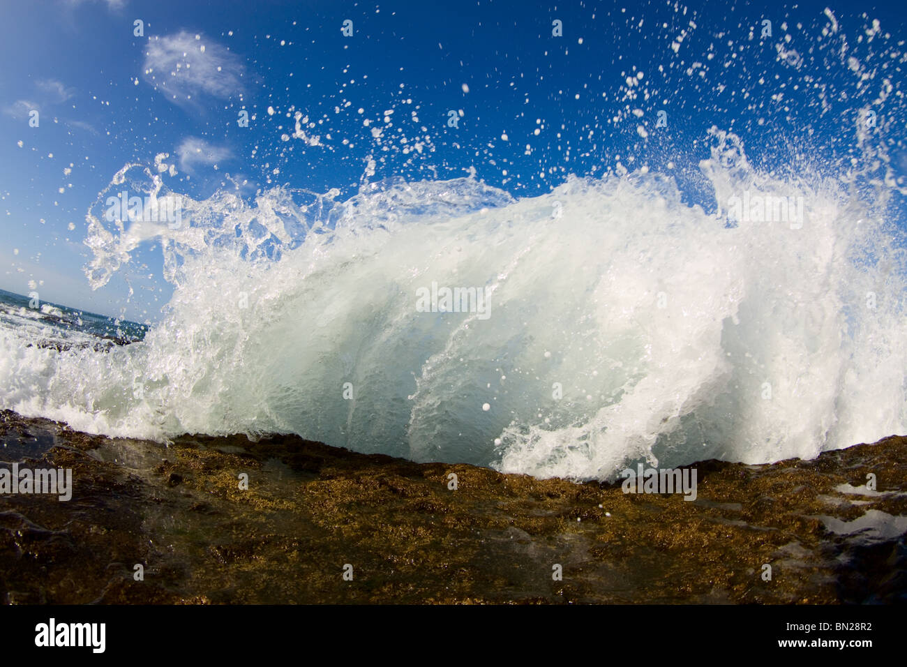 Eine Welle entfaltet seine Kraft auf ein Riff und sendet Wasser in die Luft fliegen. Stockfoto