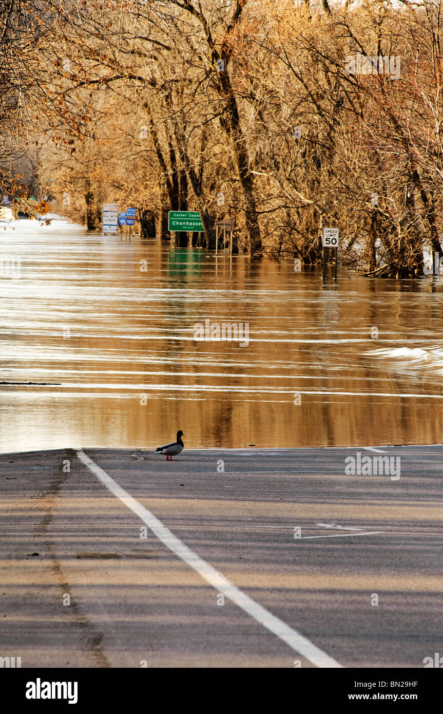 Flut Wasser des Minnesota Fluß über Highway 101 nördlich der Innenstadt Shakopee, Minnesota im März 2010. Stockfoto