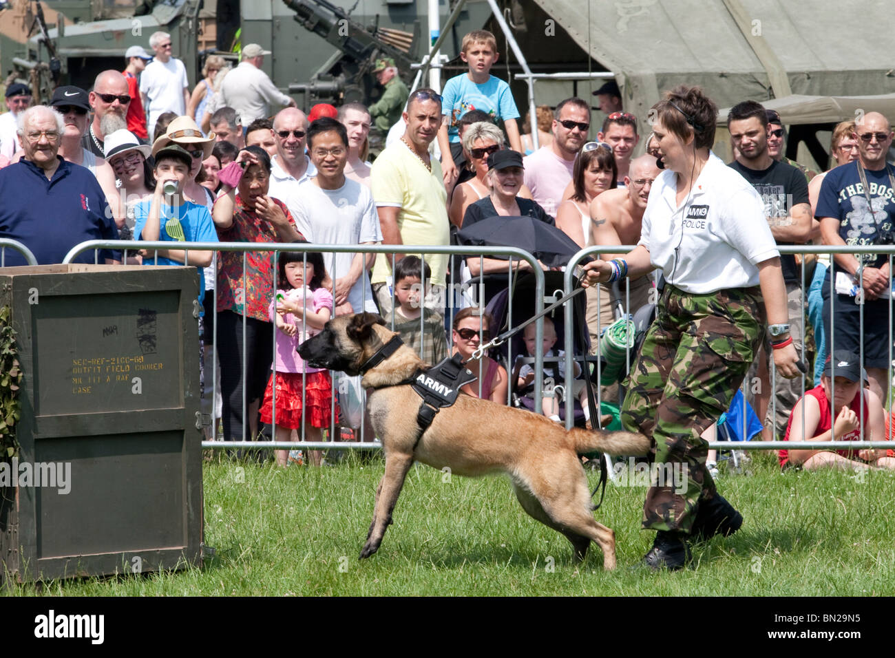 Der AMK9 Hund Display team Stockfoto