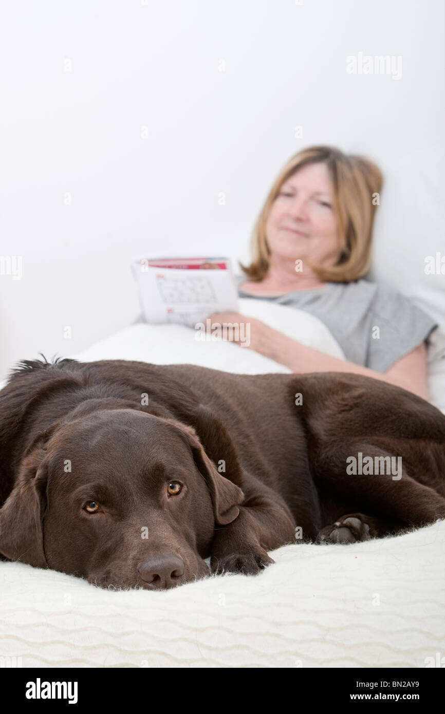 Hund mit Senior Besitzerin Soduku spielen Stockfoto