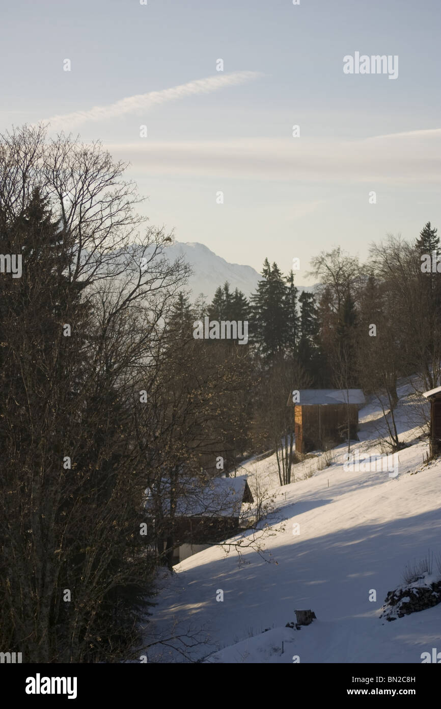 Holzschuppen Stockfoto