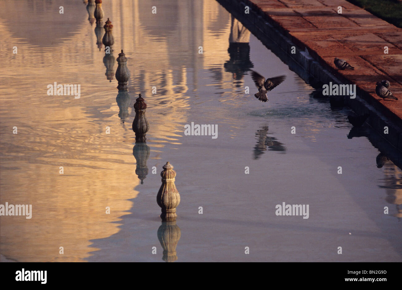 Die Lotus-Pool, benannt nach seinen Lotus geformte Brunnen Tüllen die Taj Mahal Agra Indien spiegelt Stockfoto