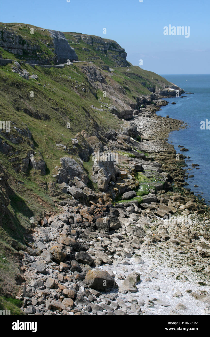 Küstenlandschaft auf der Great Orme, Llandudno, Wales Stockfoto
