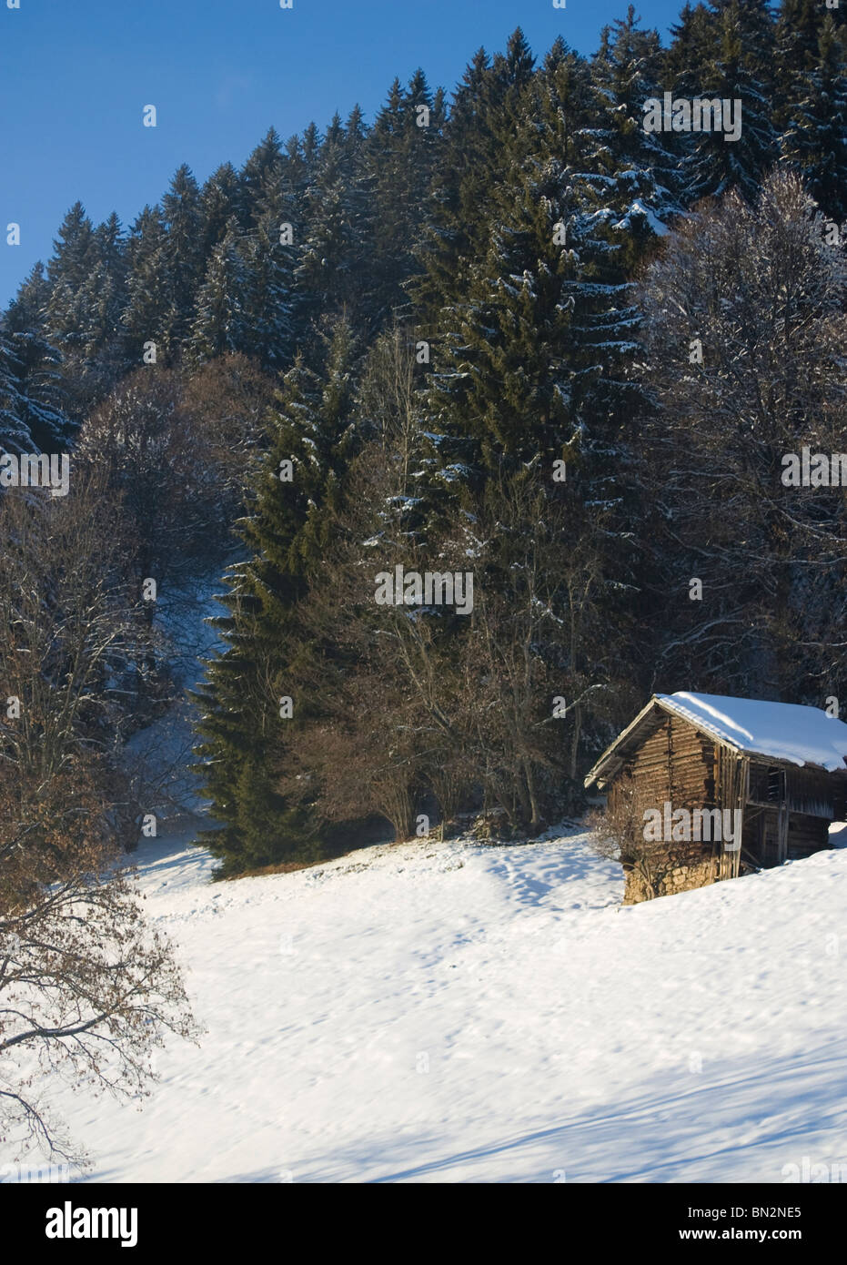 Schweizer Alpen: Mountain Schuppen und Schnee Bäume Stockfoto