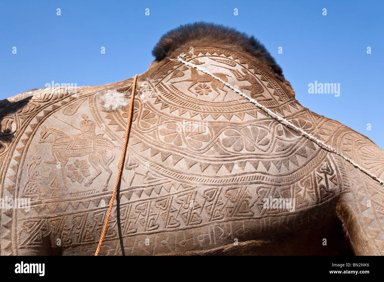 Kamelhaut Dekoration. Jaisalmer Wüste Festival. Rajasthan. Indien Stockfoto