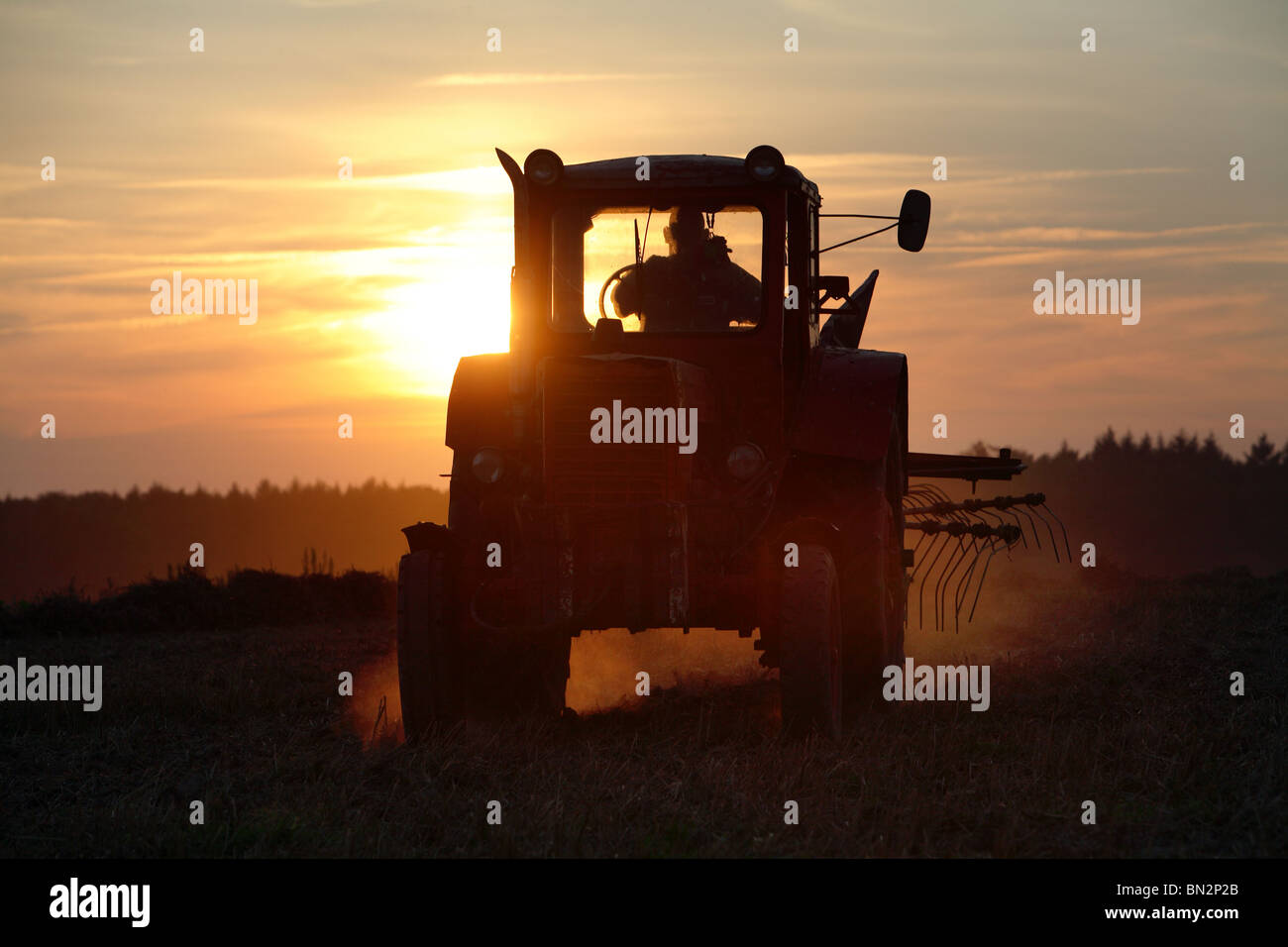 Traktor drehen Heu auf einem Feld bei Sonnenuntergang, Prangendorf, Deutschland Stockfoto
