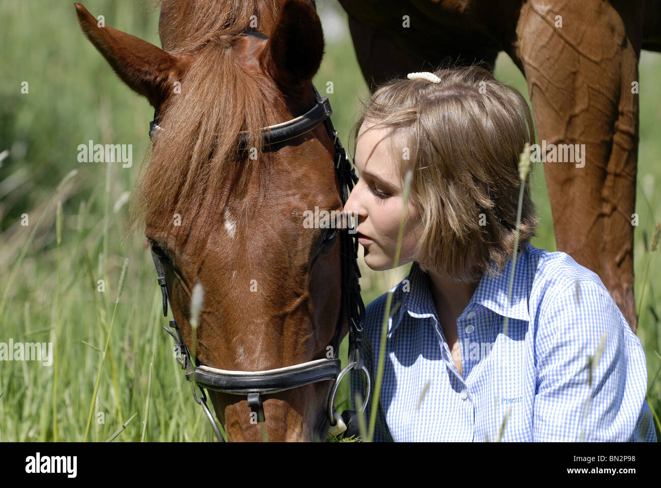Mädchen mit Pferd Stockfoto