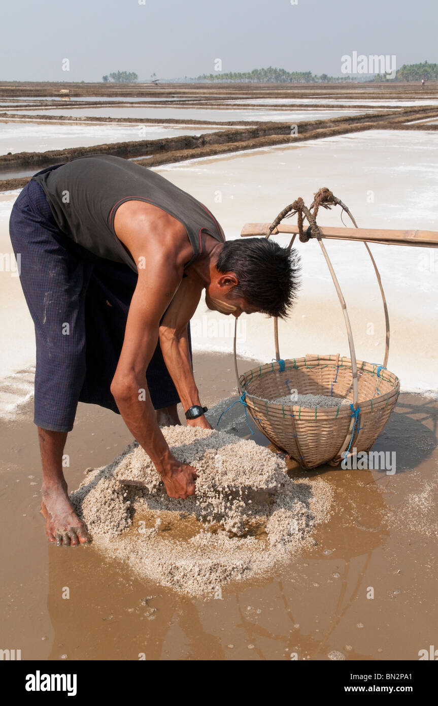 Myanmar. Burma. Bauernhofbesuch Salz Teich in Tingen Gyi Dorf im Ayeryarwady-Delta. . Nargis Zyklon Hinterlassenschaften Stockfoto