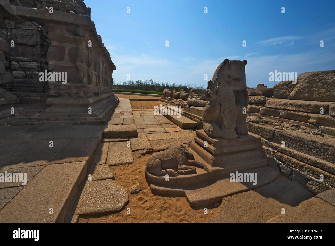 Indien-Tamil Nadu Mamallapuram ein Detail der Shore Tempel erklärt der Menschheit Immobilien von der UNESCO-Organisation Stockfoto Indien-Tamil Nadu Mamallapuram ein Detail der Shore Tempel erklärt der Menschheit Immobilien von der UNESCO-Organisation Stockfoto