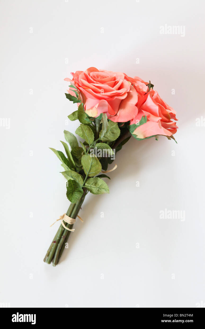 Seiden rose -Fotos und -Bildmaterial in hoher Auflösung – Alamy