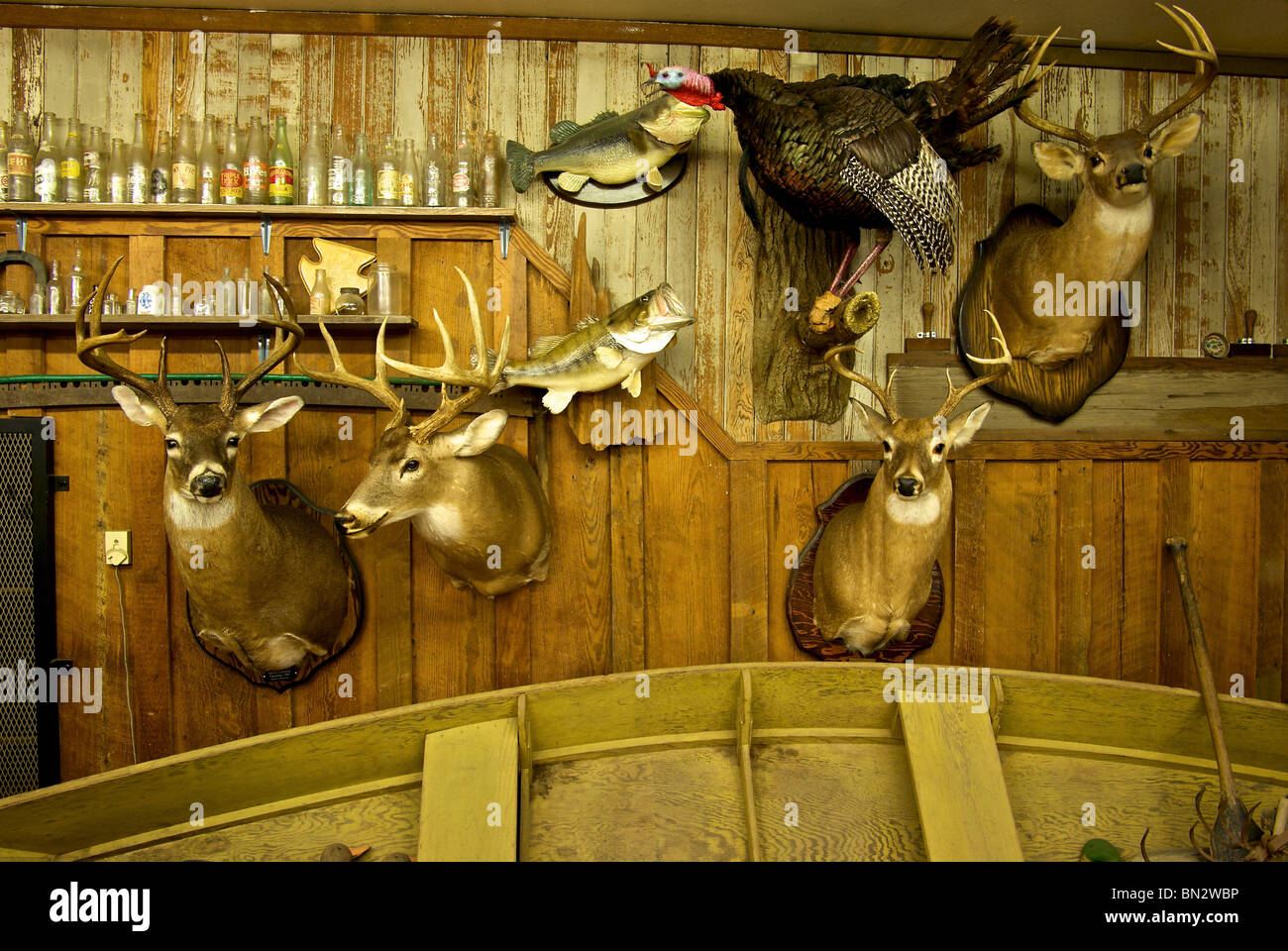 Präparatoren gefüllte Reh Köpfe Forellenbarsch Wildtruthahn alte Flasche Schausammlung in Tankstelle speichern ländlichen Louisiana Stockfoto