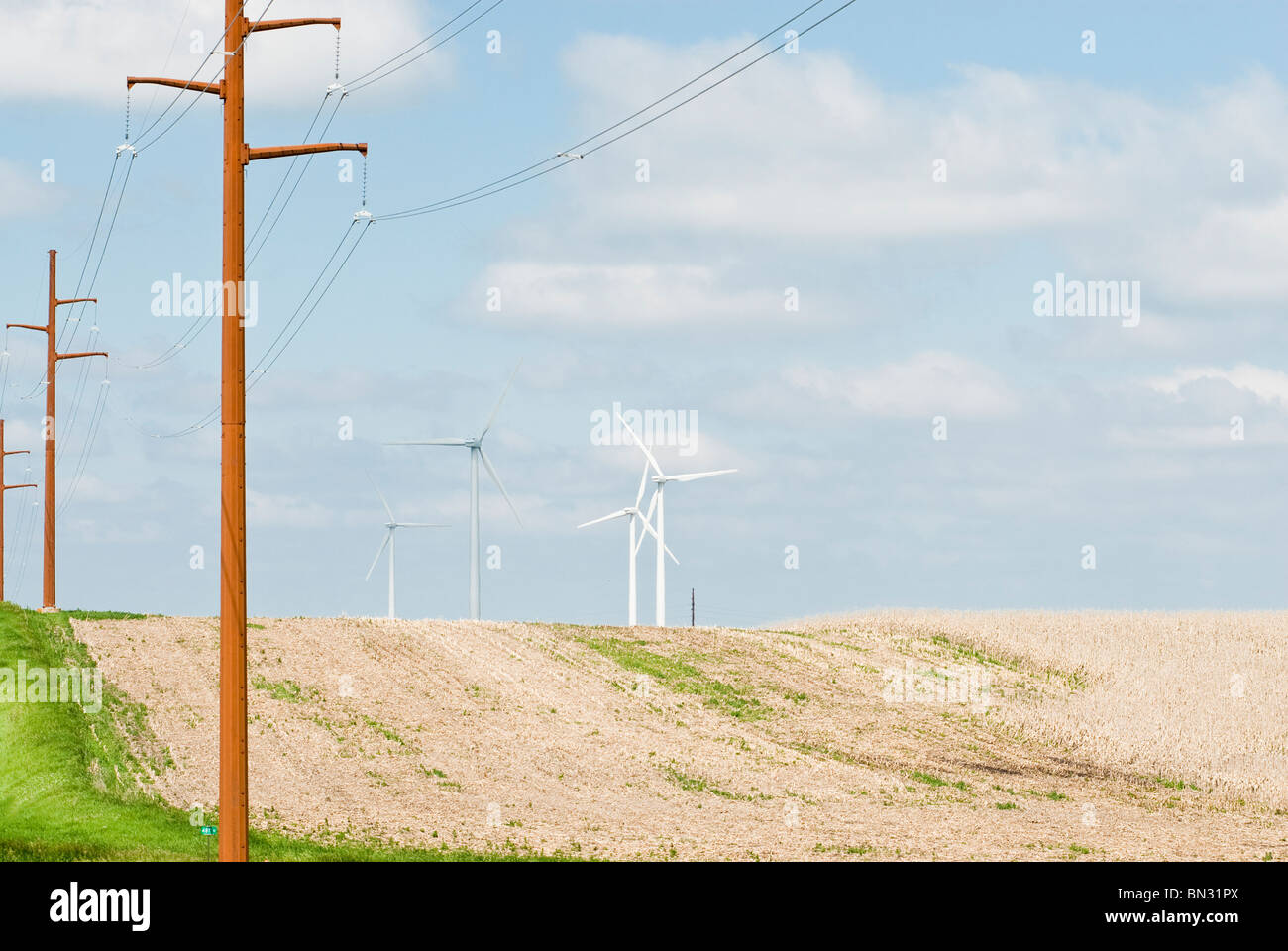 Windkraftanlagen und Stromtrassen befindet sich auf Ackerland in der Nähe von Lake Benton, Minnesota Stockfoto