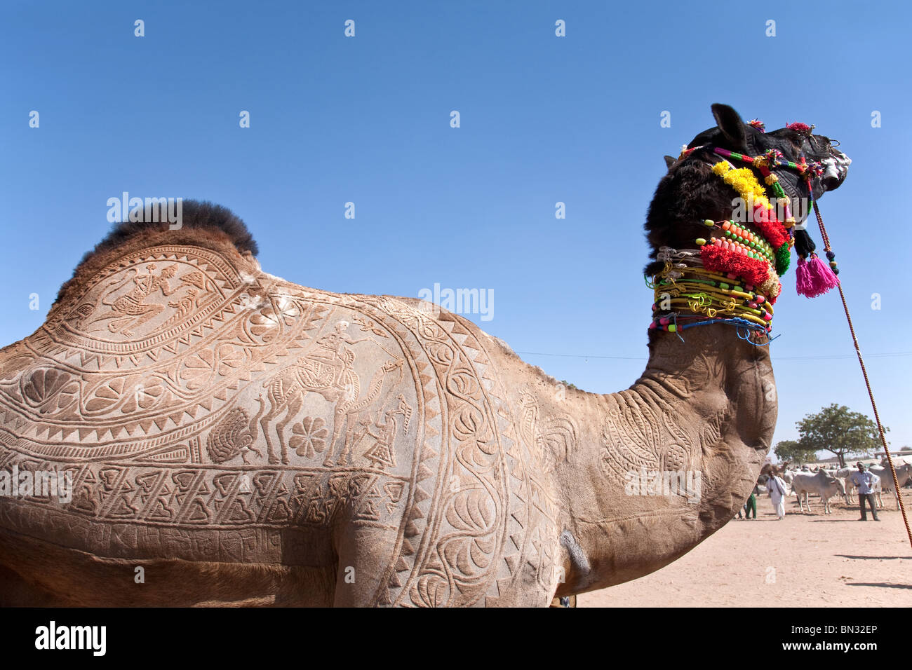 Kamelhaut Dekoration. Jaisalmer Wüste Festival. Rajasthan. Indien Stockfoto