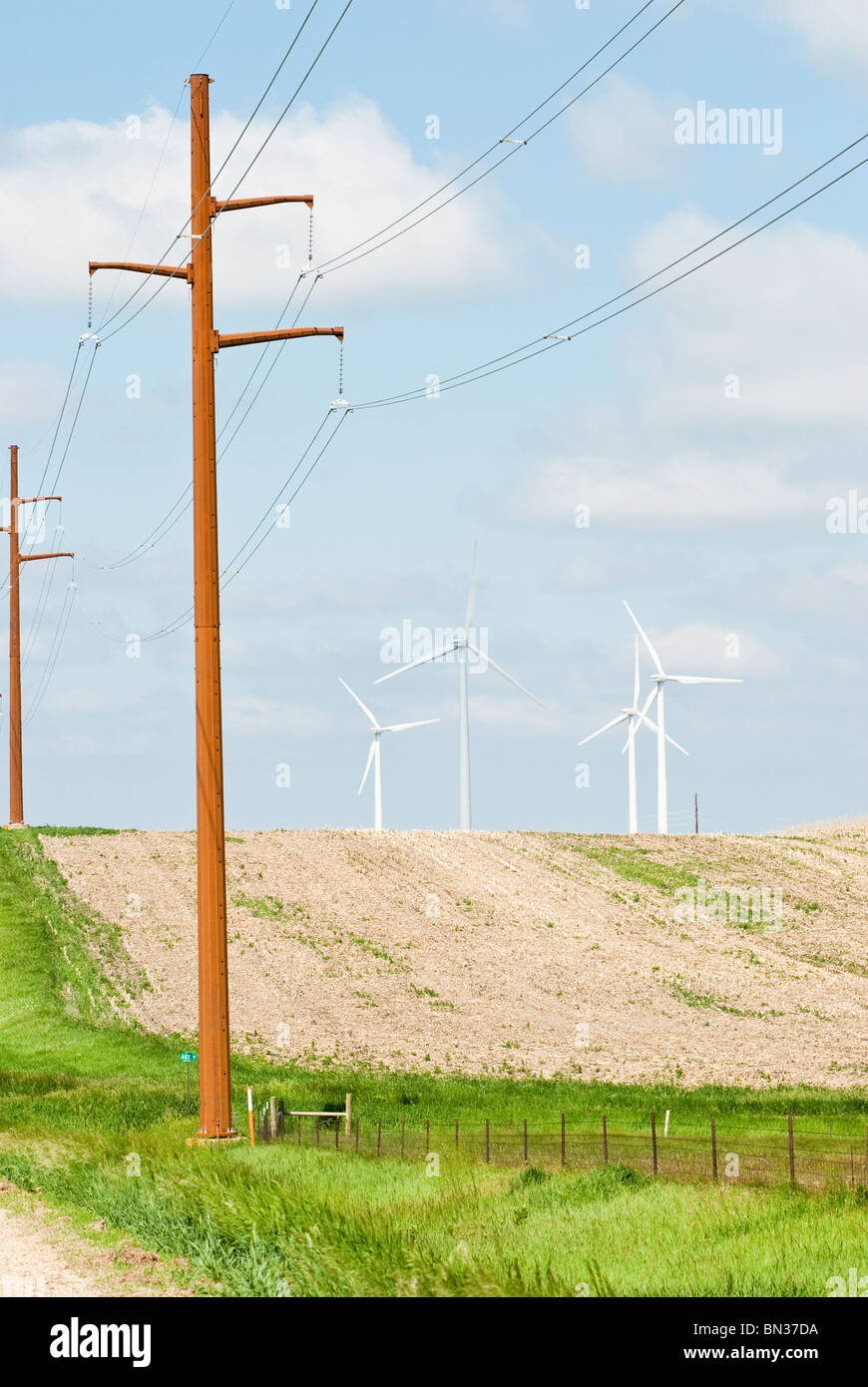 Windkraftanlagen und Stromtrassen befindet sich auf Ackerland in der Nähe von Lake Benton, Minnesota Stockfoto