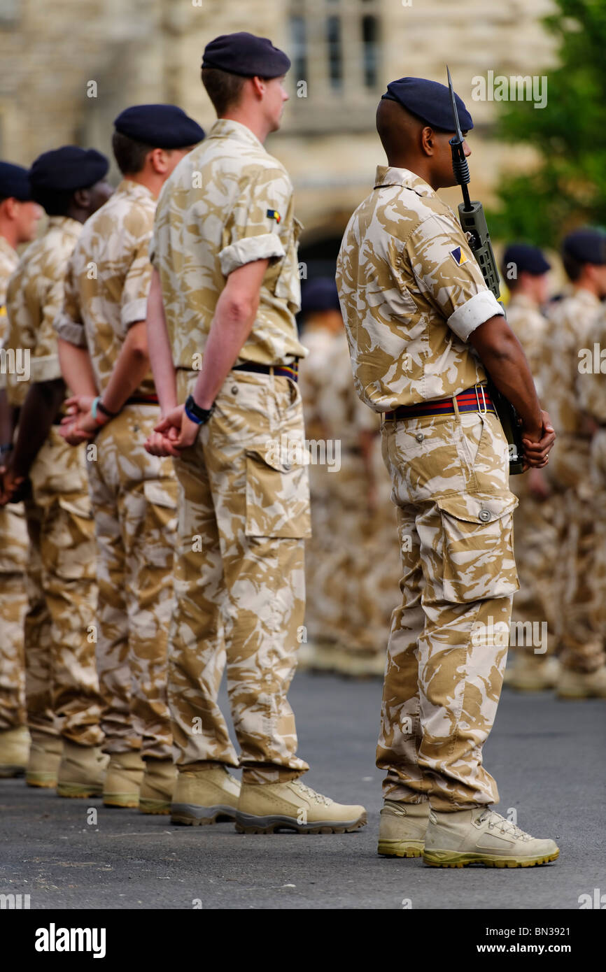 Die Royal Logistic Corps auf der Parade. Stockfoto