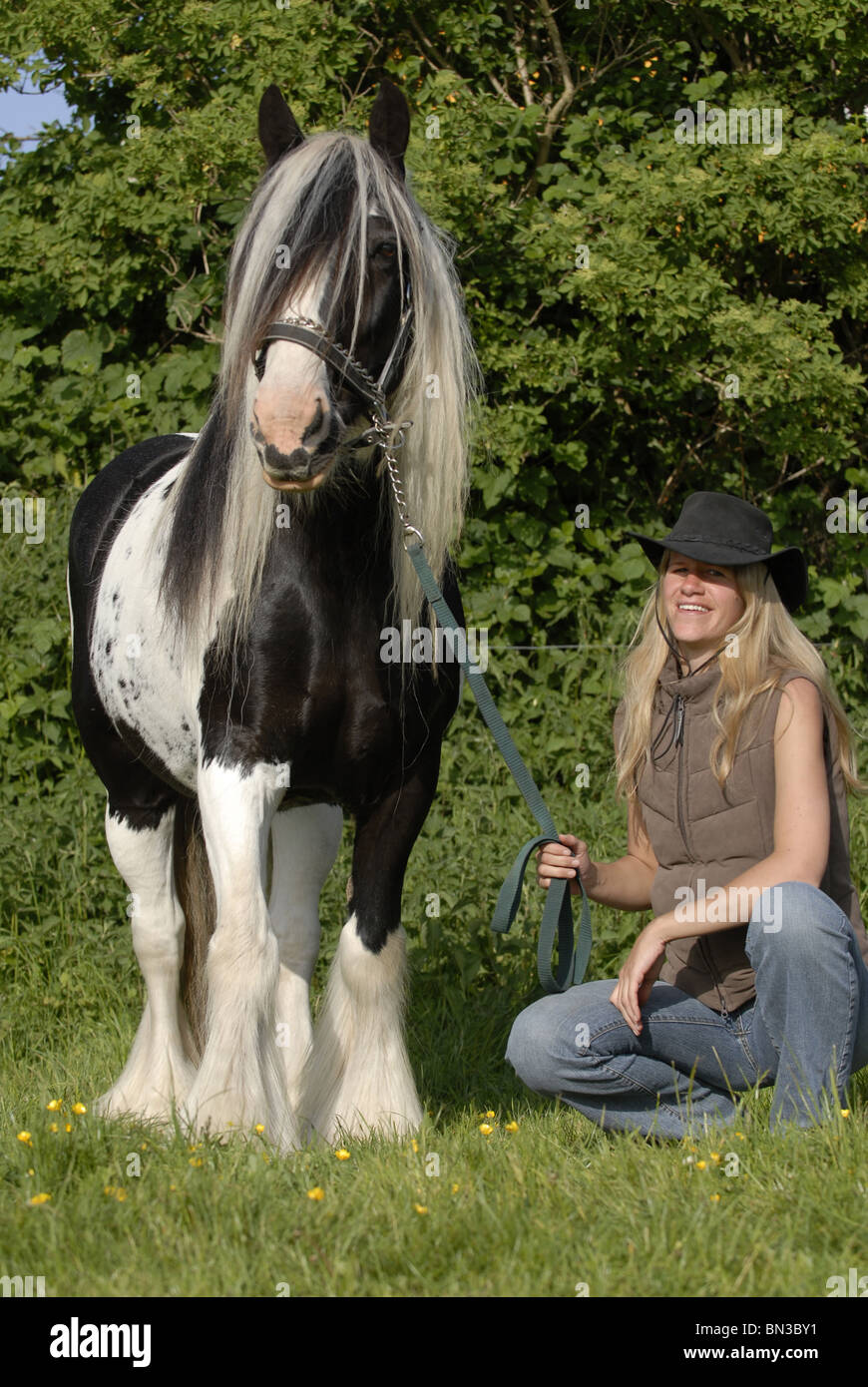 Frau mit Irish Tinker Stockfoto