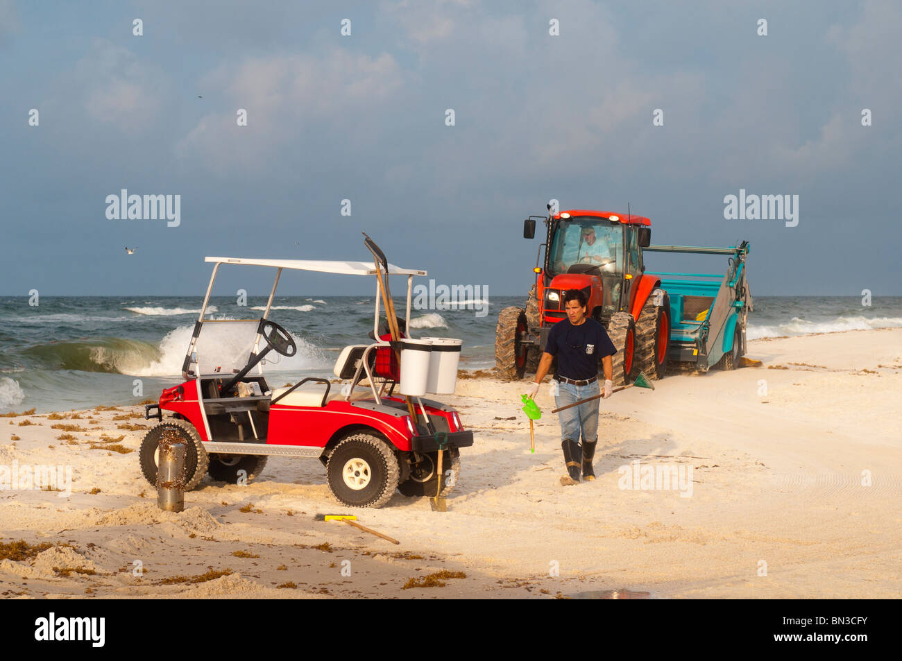 Reinigungs-Öl vom Strand, Gulf Shores, Alabama, Vereinigte Staaten Stockfoto