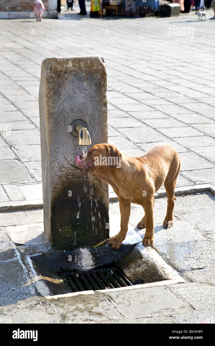 Trinkwasser brunnen menschen Fotos und Bildmaterial in hoher
