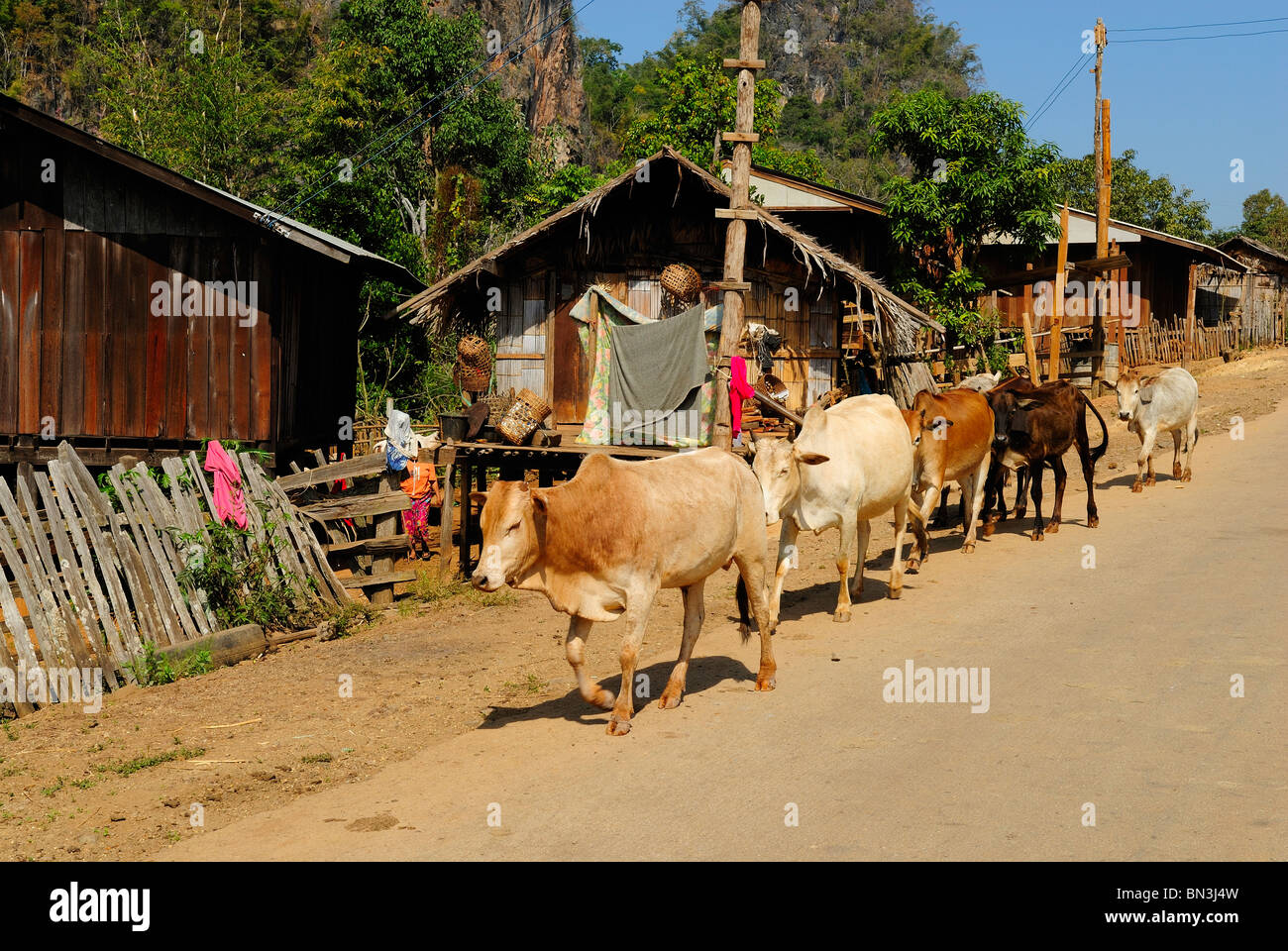 Dorf der schwarzen Lahu Menschen, Bergstämme von Mae Hong Son, Nord-Thailand, Asien Stockfoto