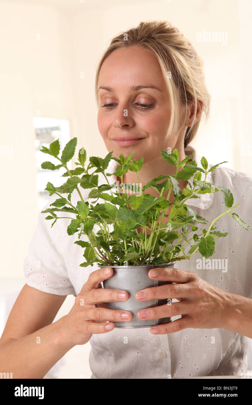 FRAU MIT MINZE PFLANZE Stockfoto