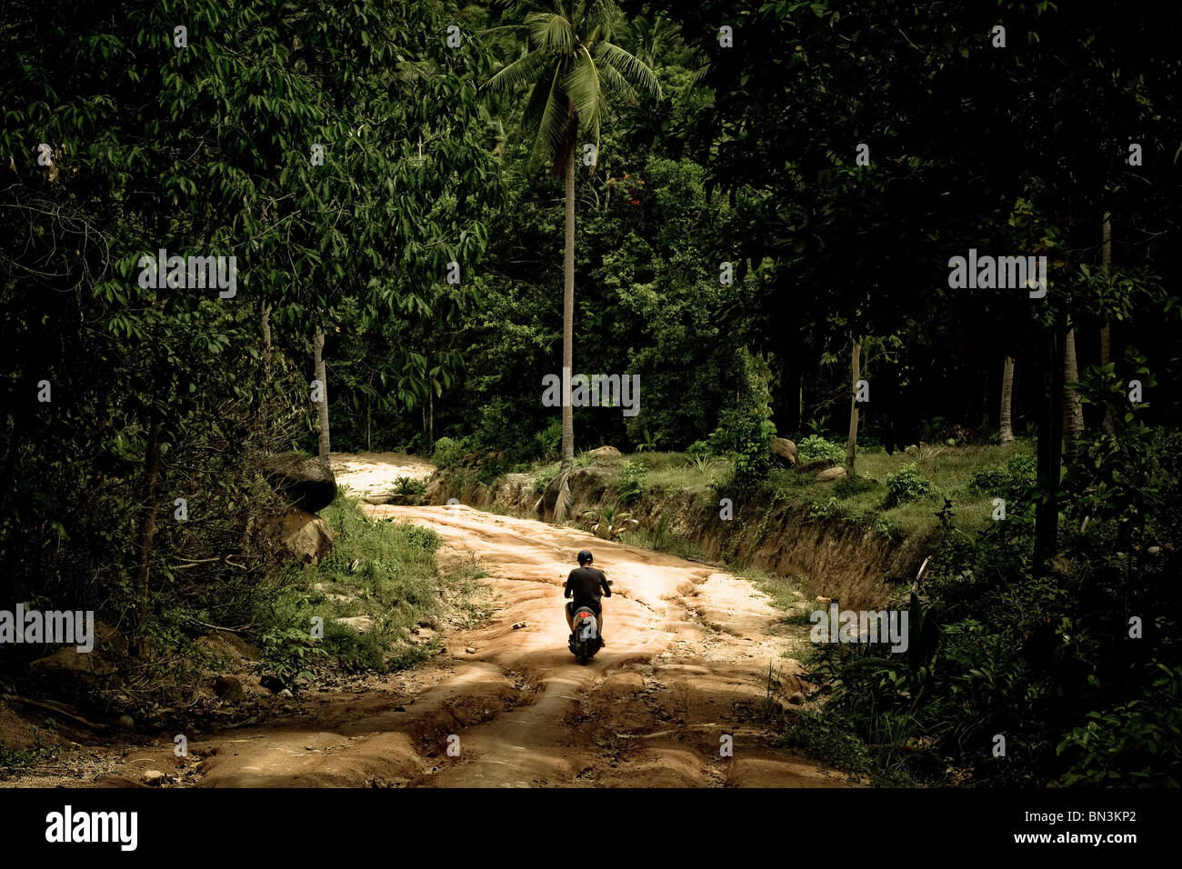 Moped Fahrer auf einem Waldweg, Ko Phangan, Thailand, Rückansicht Stockfoto
