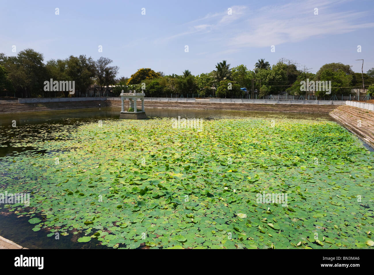 Indien-Tamil Nadu Mamallapuram einer Seerose Maße auf einem großen Becken Stockfoto