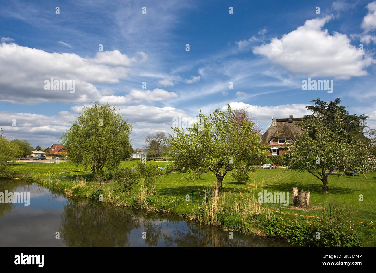 Dove elbe Fotos und Bildmaterial in hoher Auflösung Alamy