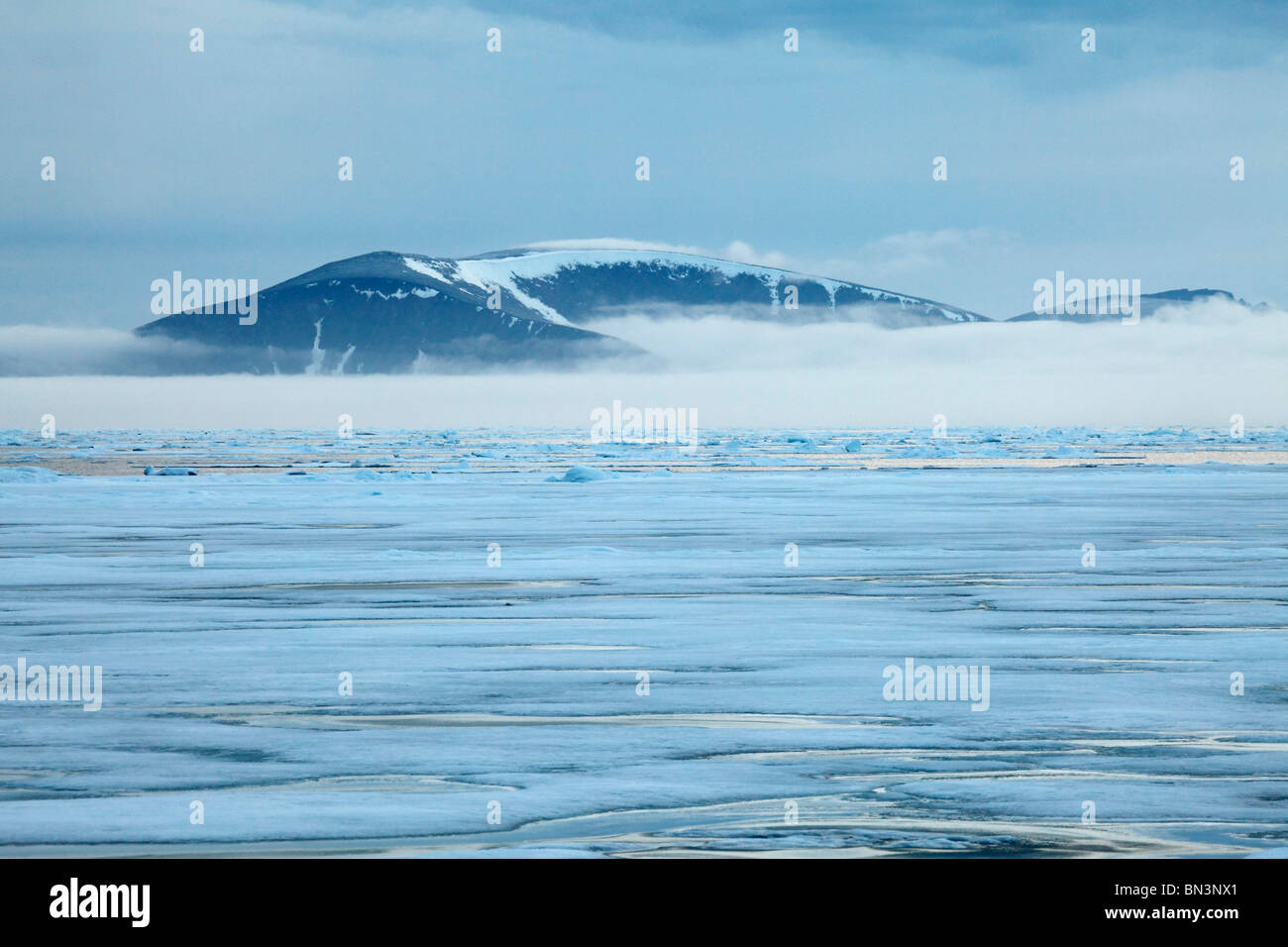 Eisschollen im arktischen Ozean, Spitzbergen, Norwegen, Europa Stockfoto