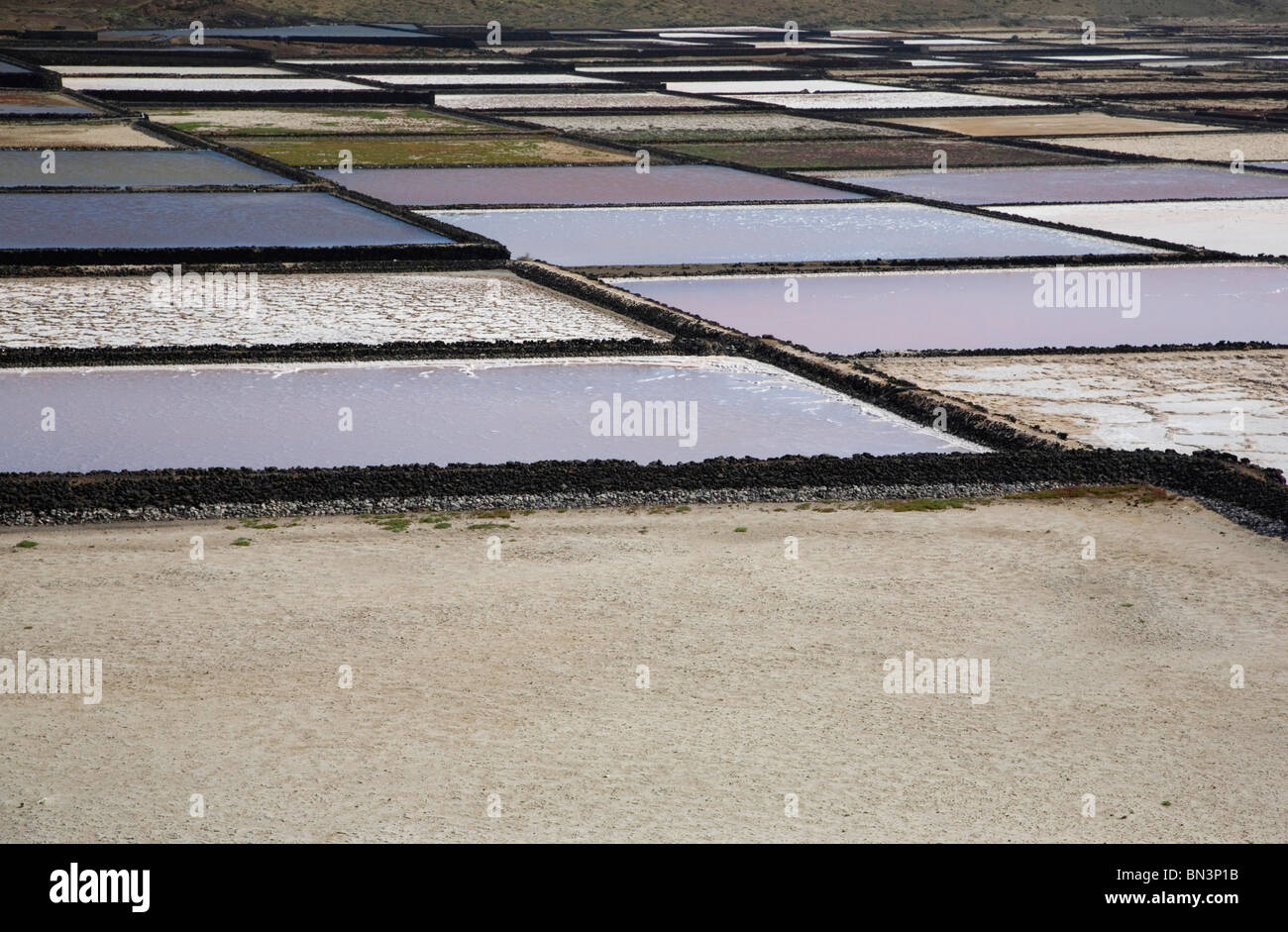 Salinas de Janubio, Lanzarote, Kanarische Inseln, Spanien, Europa Stockfoto