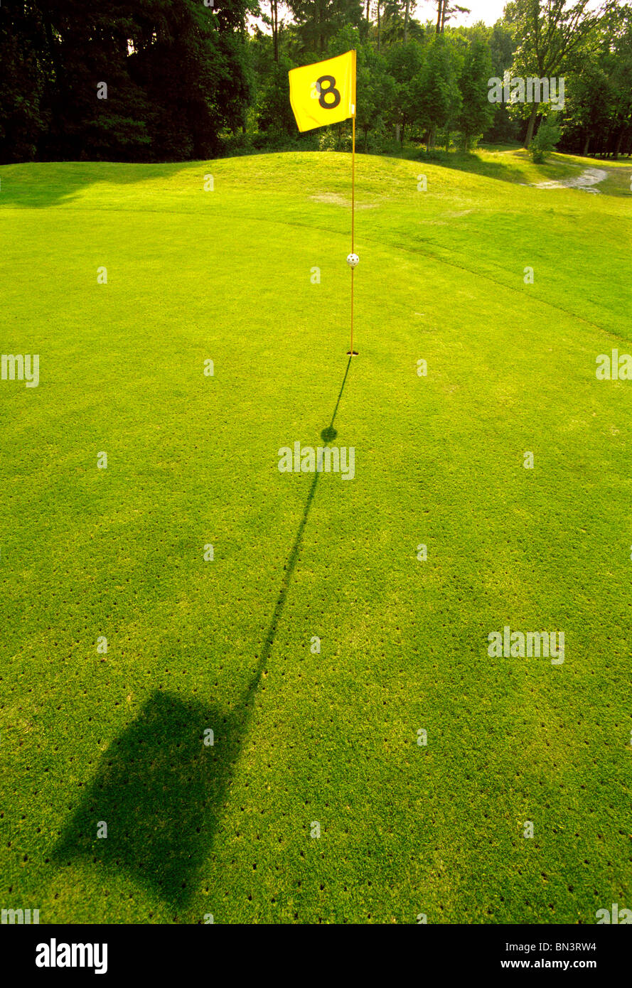 Golfflagge im Feld Stockfoto