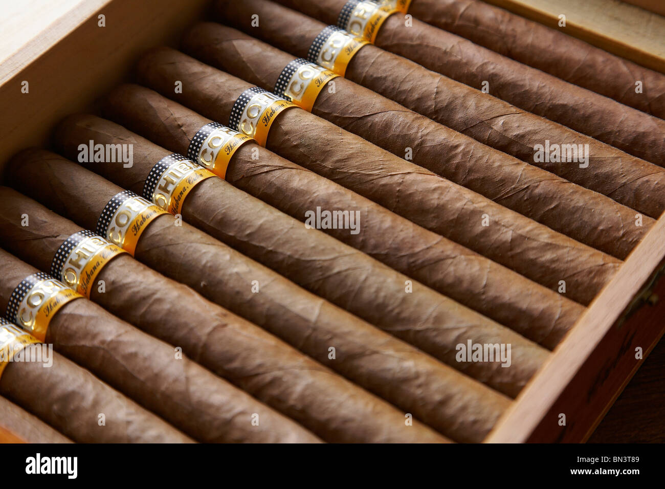 Eine Schachtel mit großen Cohiba kubanische Zigarren. Stockfoto