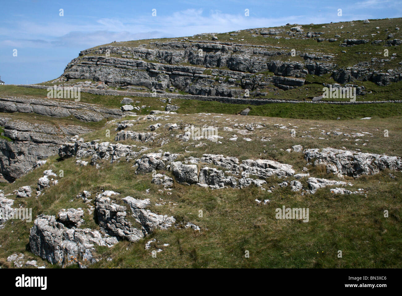 Kalkstein-Klippen auf der Great Orme, Llandudno, Wales Stockfoto