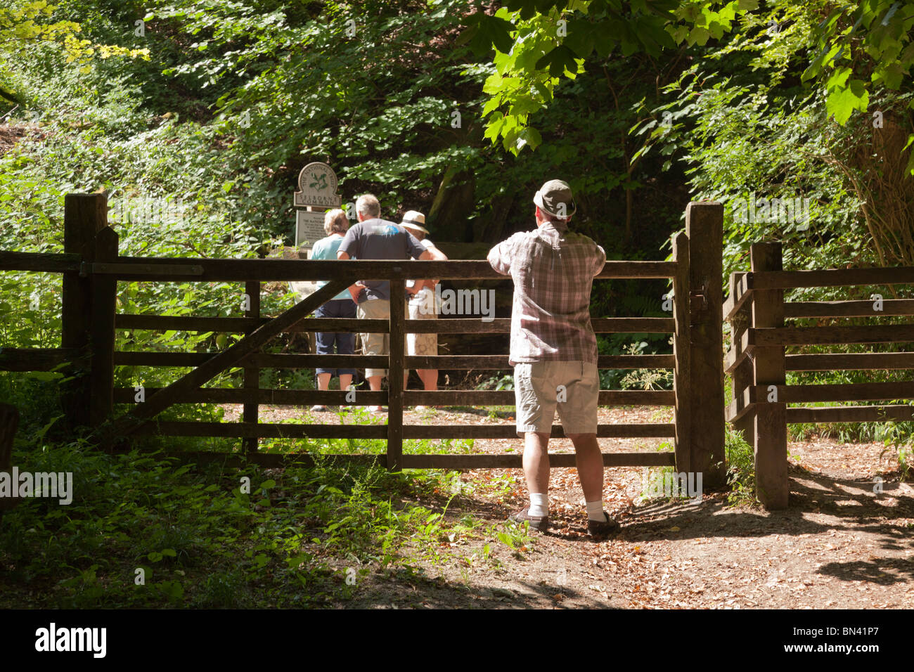 Man lehnte sich gegen fünf bar Tor neben küssen Tor im Selborne am Weg hinauf zur Selborne Aufhänger Stockfoto