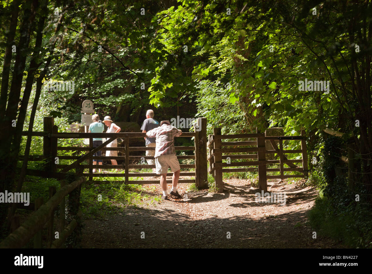 Man lehnte sich gegen fünf bar Tor neben küssen Tor im Selborne am Weg hinauf zur Selborne Aufhänger Stockfoto