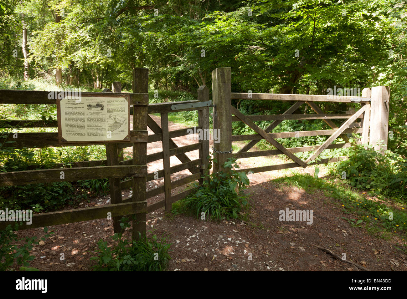 5 bar Tor und küssen Tor am Eingang zum national Trust Schafe unten im Selborne Stockfoto