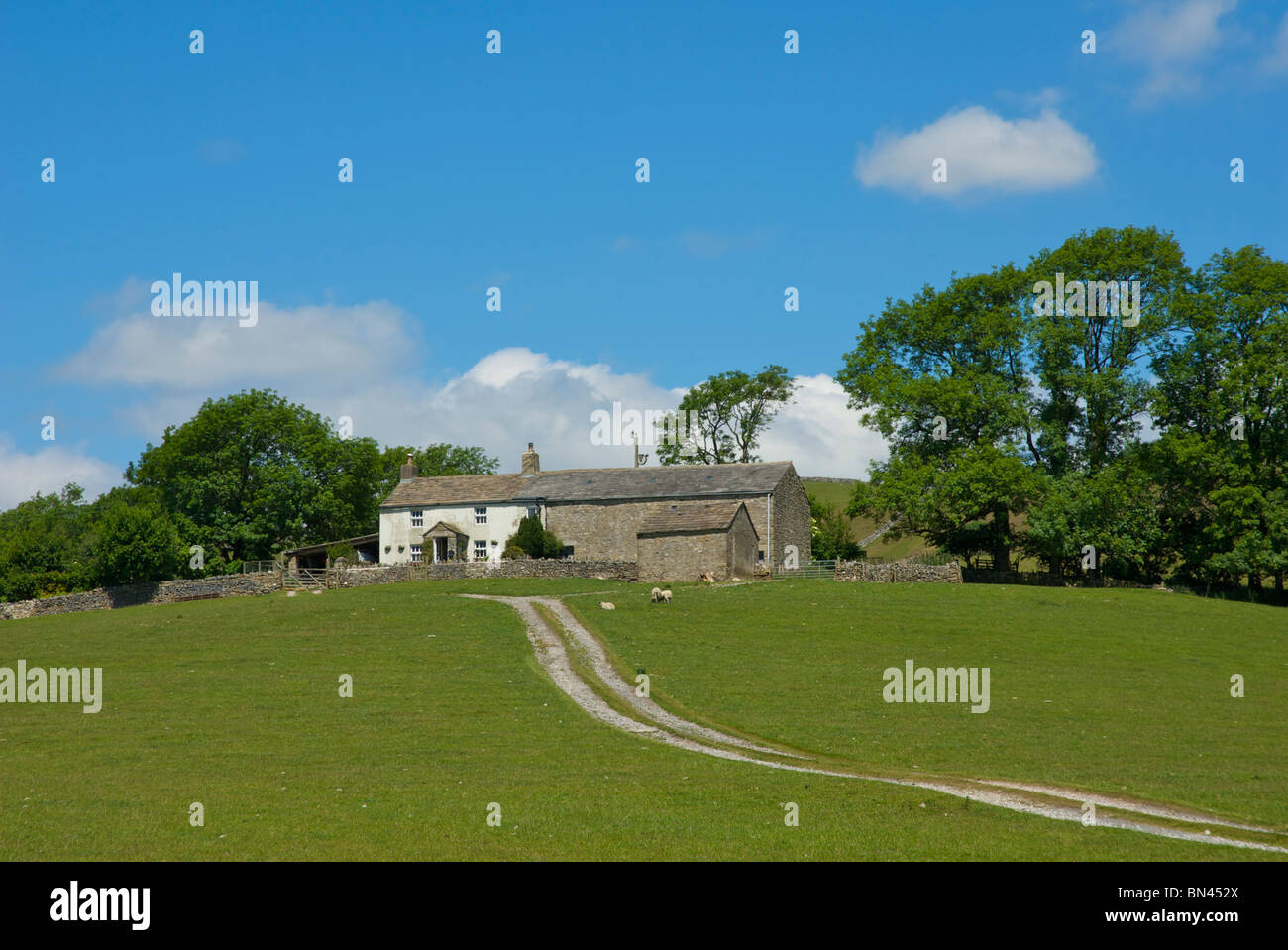 Laithe Butts Farm nahe Clapham, Yorkshire Dales National Park, North Yorkshire, England UK Stockfoto