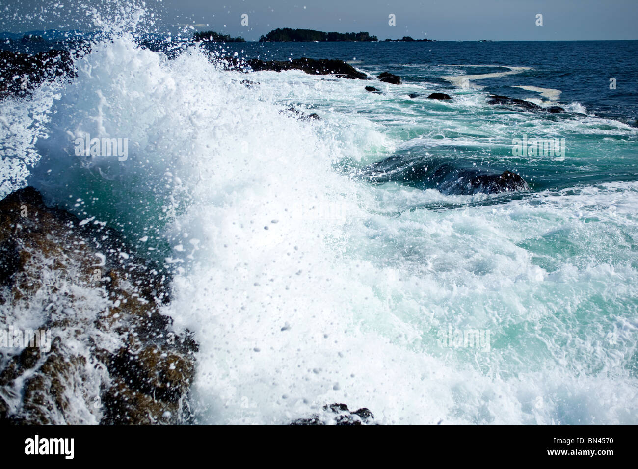 Vancouver Island BC Kanada, Pacific Rim National Park Stockfoto
