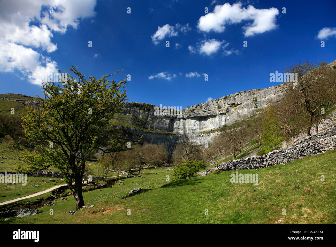 Malham Cove massiven gebogenen Kalkstein Klippen natürliche Schönheitsstelle Malhamdale Yorkshire Dales National Park England UK Stockfoto