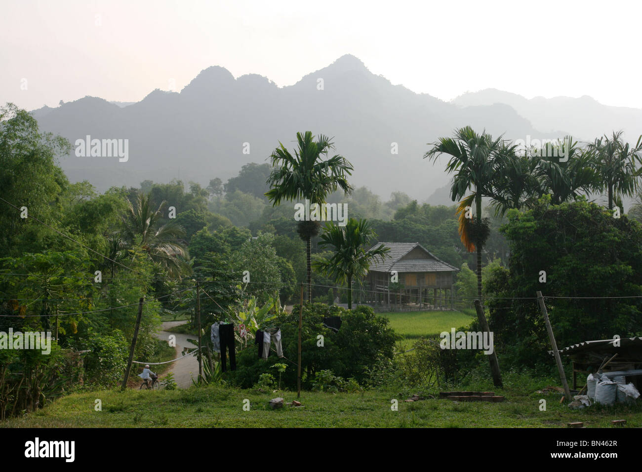 Reisfeld und hölzernen Stelzen-Haus im Mai Chau Tal, Vietnam Stockfoto
